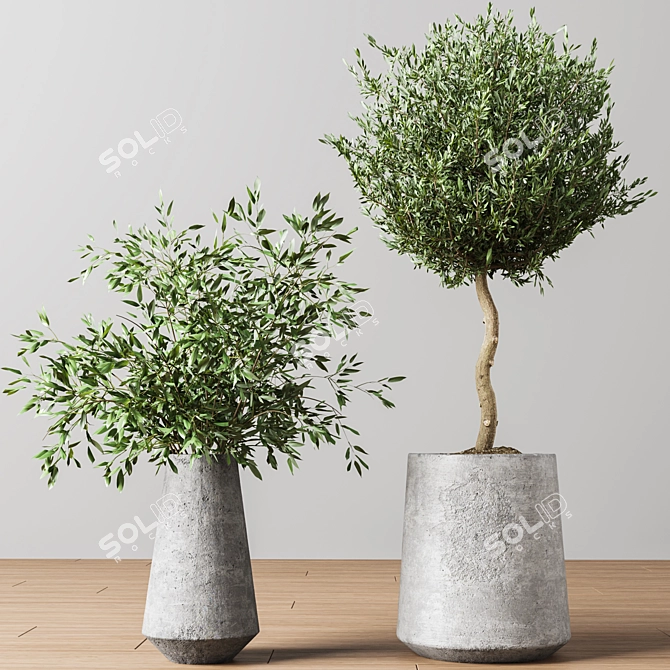 Indoor Oasis Plant Set 3D model image 12