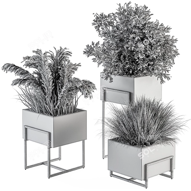 Rustic Dried Plant Set 3D model image 5