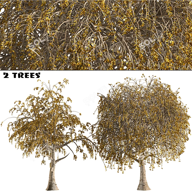 Diverse Tree Collection Vol. 01 3D model image 1