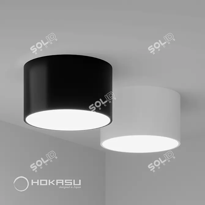 HOKASU MOON LED Surface Lamp 3D model image 1