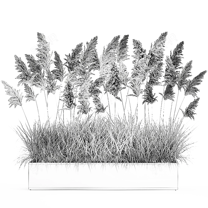 Exotic Plant Collection for Indoor and Outdoor Décor 3D model image 7