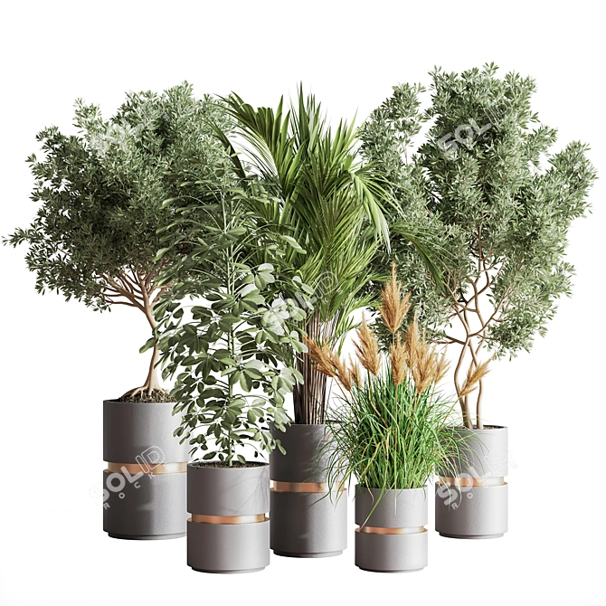 Modern Indoor Set of 16 Plants 3D model image 1