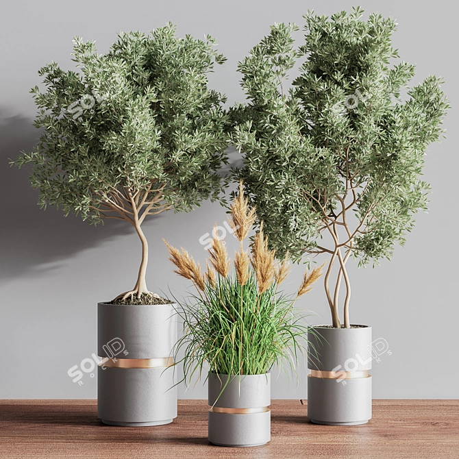 Modern Indoor Set of 16 Plants 3D model image 3