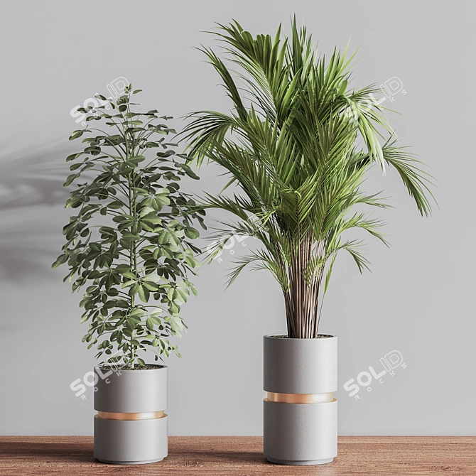 Modern Indoor Set of 16 Plants 3D model image 4