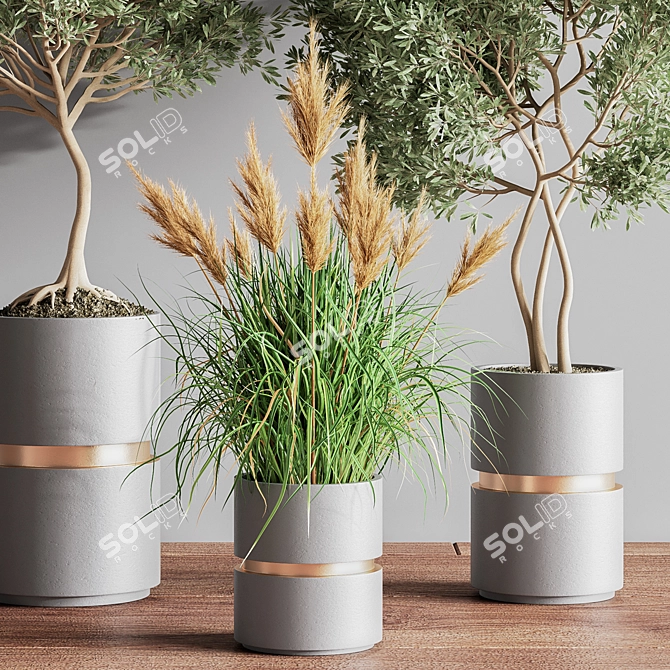 Modern Indoor Set of 16 Plants 3D model image 5