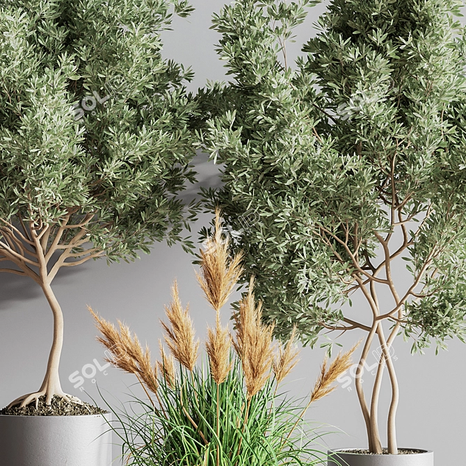 Modern Indoor Set of 16 Plants 3D model image 8