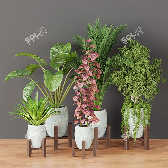 Natural Oasis Vol. 53: Indoor Greenery 3D model image 2