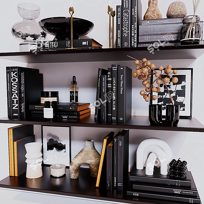 Elegant Decor Shelves 3D model image 3