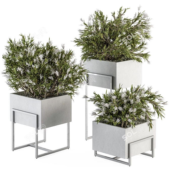 Elegant Greenery: Plant Set in White Box 3D model image 1