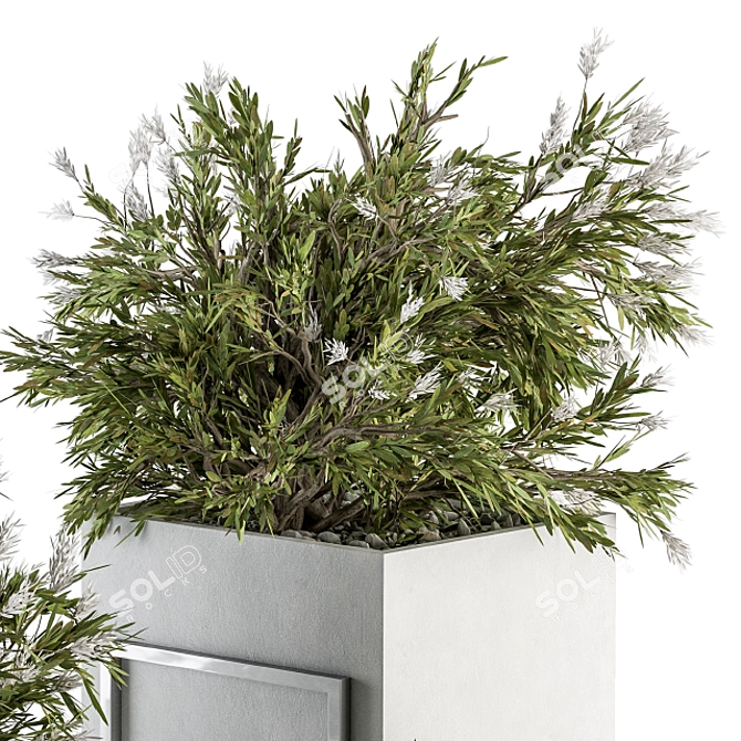 Elegant Greenery: Plant Set in White Box 3D model image 2