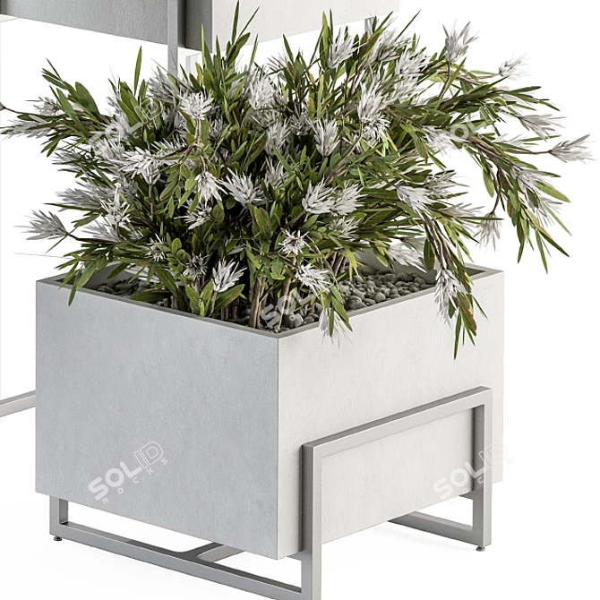 Elegant Greenery: Plant Set in White Box 3D model image 3