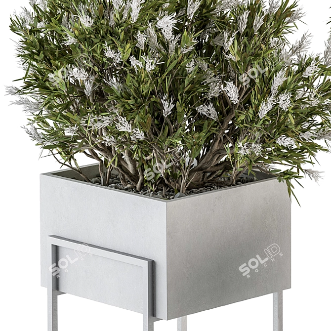 Elegant Greenery: Plant Set in White Box 3D model image 4