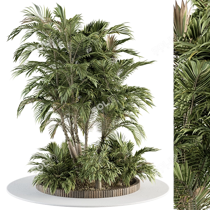 Exotic Outdoor Plant Set 3D model image 1