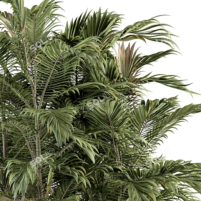 Exotic Outdoor Plant Set 3D model image 2