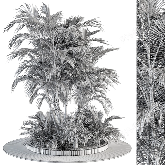 Exotic Outdoor Plant Set 3D model image 4