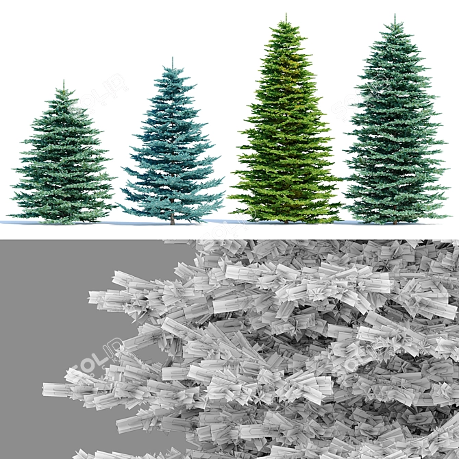 Evergreen Spruce Tree Set 3D model image 3