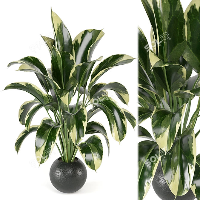 Lush Indoor Plants Set 126 3D model image 1