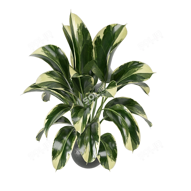 Lush Indoor Plants Set 126 3D model image 4