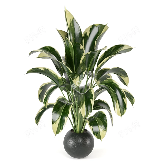 Lush Indoor Plants Set 126 3D model image 5