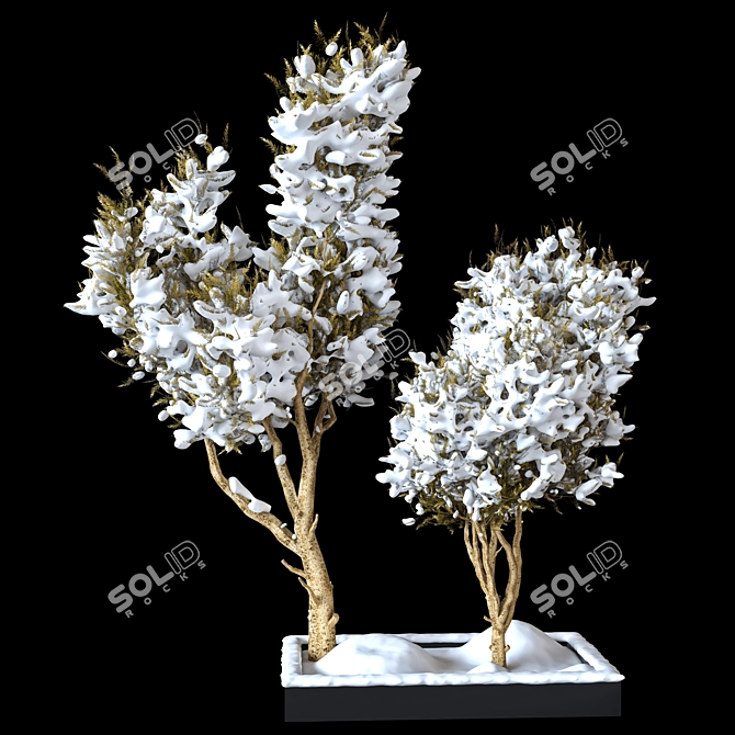 Outdoor Plant Vol.25: 3D Model for Outdoor Spaces 3D model image 2