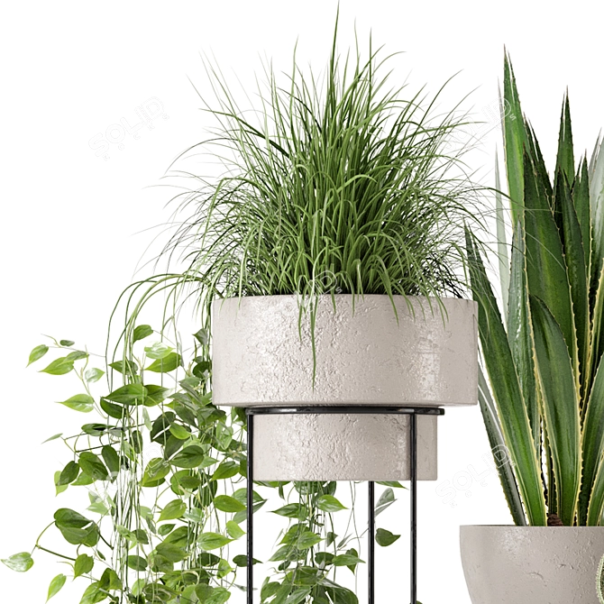 Rusty Concrete Pot: Indoor Plants Set 3D model image 4