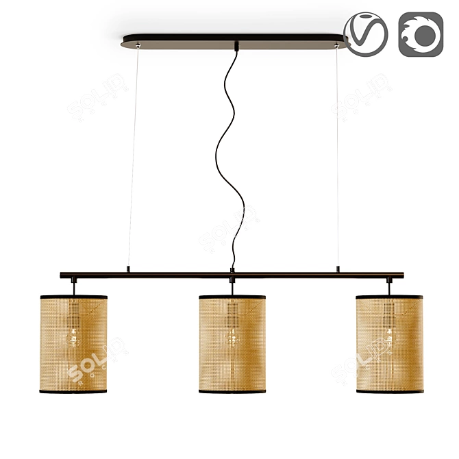 Metal and Wicker Pendant Light, Cara 3D model image 1