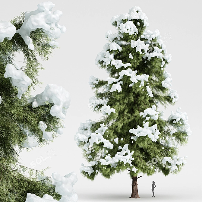 Arctic Breeze Cedar Winter Wonderland 3D model image 1