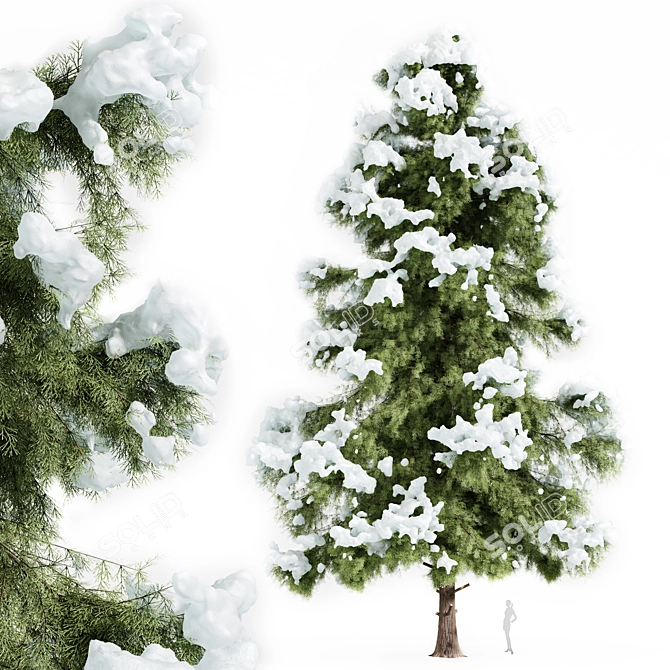 Arctic Breeze Cedar Winter Wonderland 3D model image 5