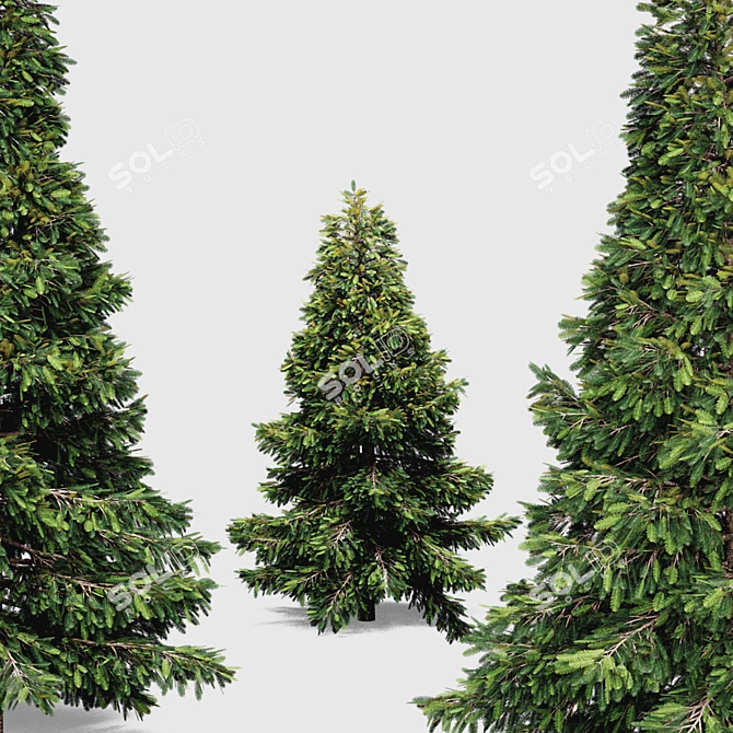 Outdoor Visual Spruce 3D model image 3