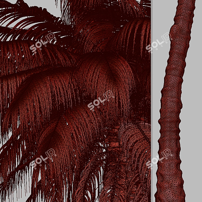 Colombian Quindio Wax Palm Set 3D model image 6