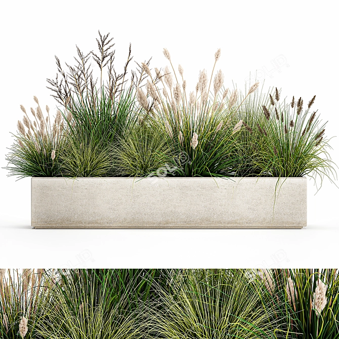 Tropical Plant Collection: Exotic Ornamental Grasses 3D model image 1