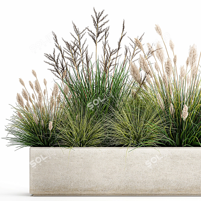 Tropical Plant Collection: Exotic Ornamental Grasses 3D model image 2