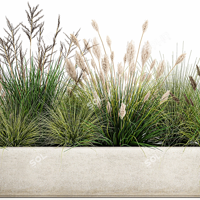 Tropical Plant Collection: Exotic Ornamental Grasses 3D model image 4