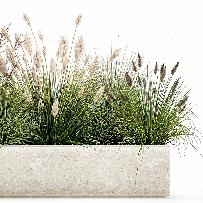 Tropical Plant Collection: Exotic Ornamental Grasses 3D model image 5