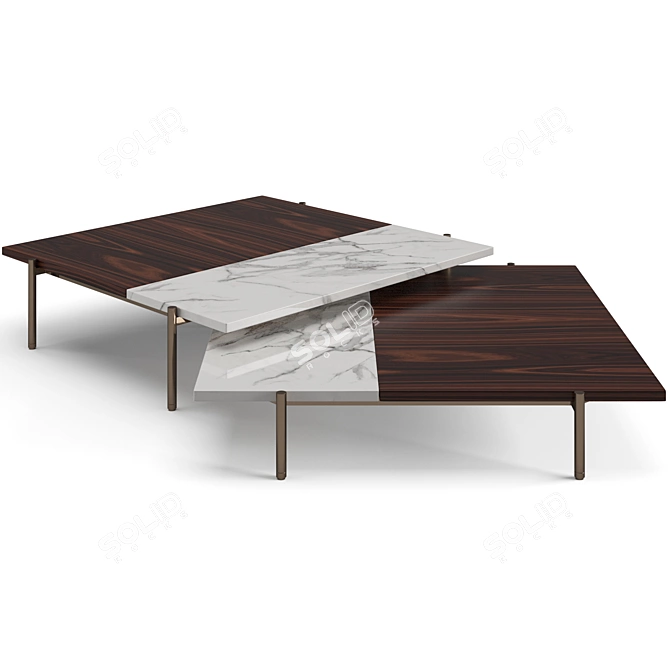 Minotti Superquadra Coffee Tables Set 3D model image 6