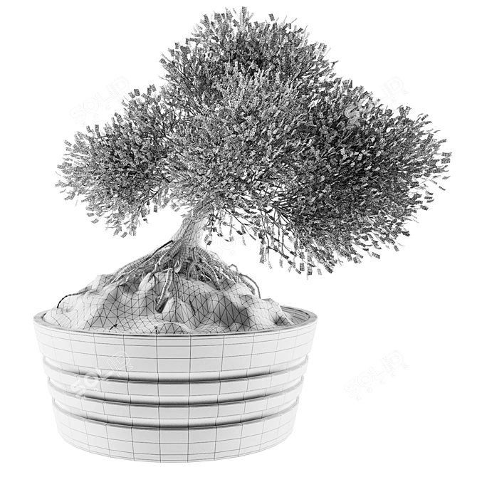 Mini Bonsai Tree - Vol. 3 3D model image 3