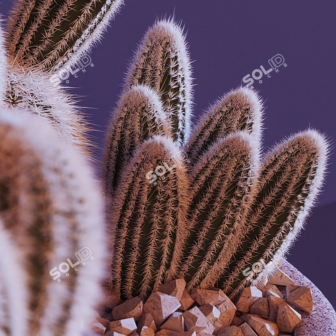 Sleek Cactus Sculpture 3D model image 3