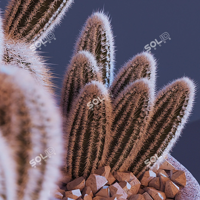 Sleek Cactus Sculpture 3D model image 10