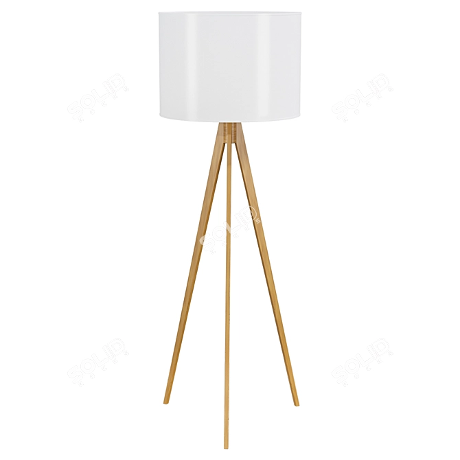 Elegant Treviso Floor Lamp 3D model image 1