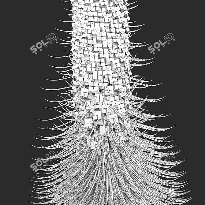 Tall Echium Wildpretii Quartet 3D model image 4