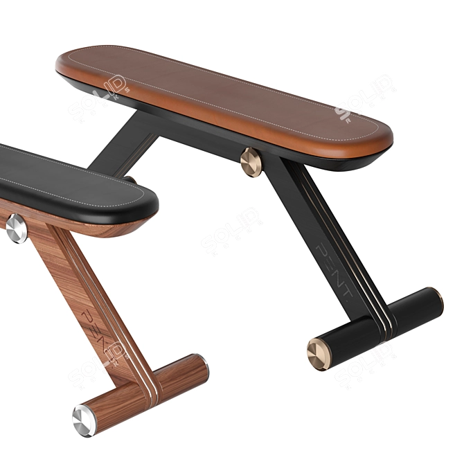 Elite Bench: PENT. Luxury Fitness 3D model image 2