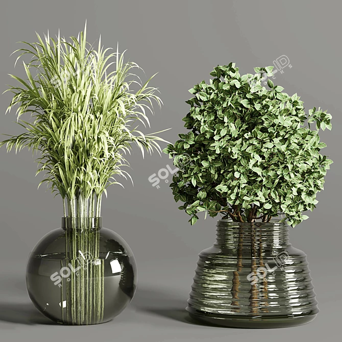 Indoor Plants Bouquet in Glass Vase 3D model image 3