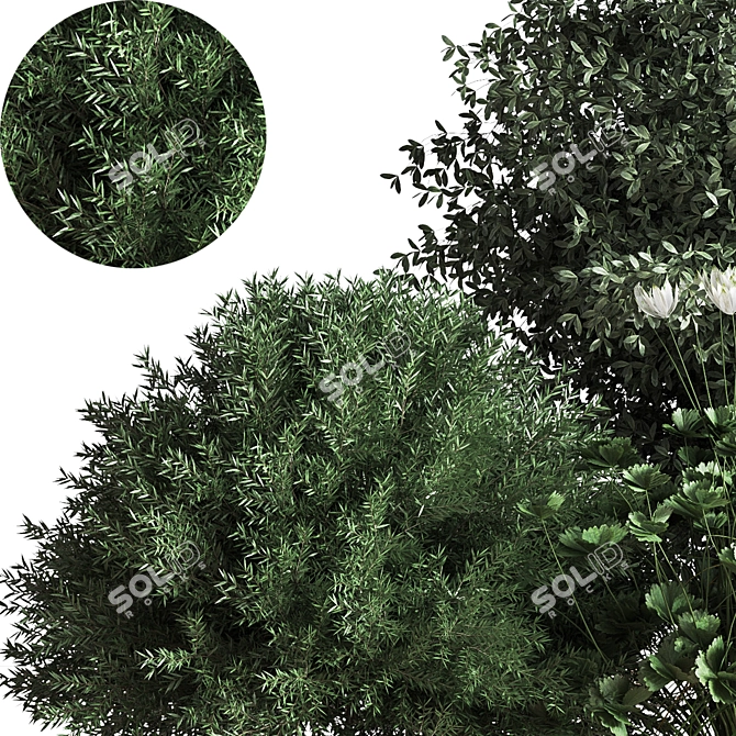 Premium Bush04 2015 Model: Vray/Corona Compatible 3D model image 3