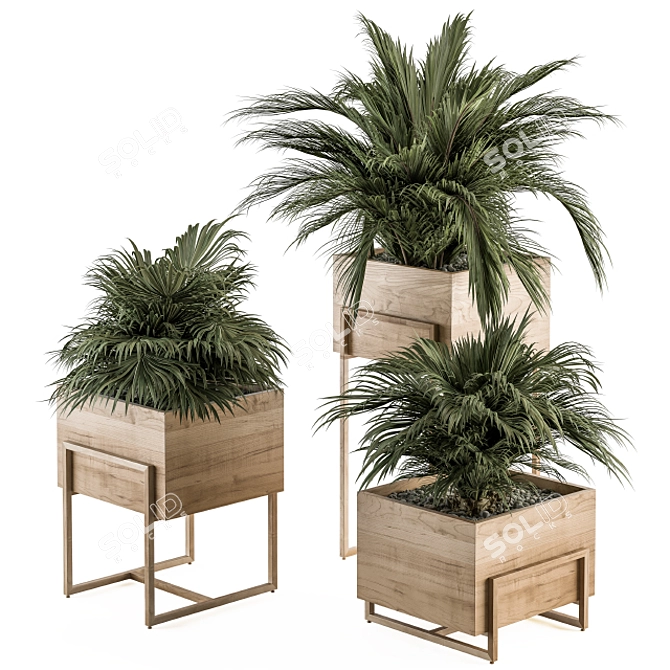 318 Indoor Plant Set in Wooden Box 3D model image 1