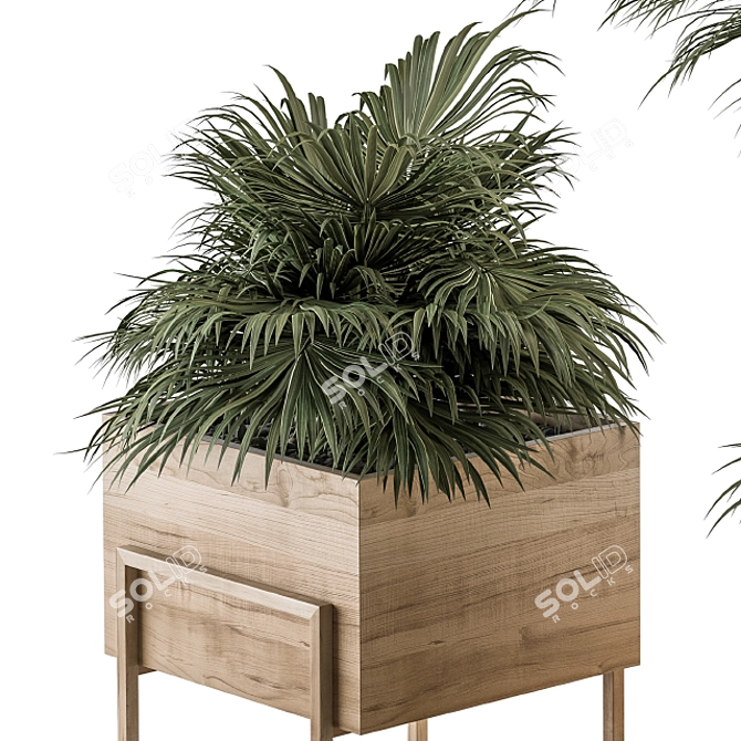 318 Indoor Plant Set in Wooden Box 3D model image 3