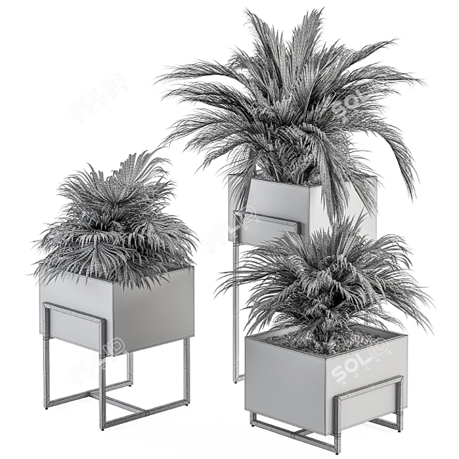 318 Indoor Plant Set in Wooden Box 3D model image 5