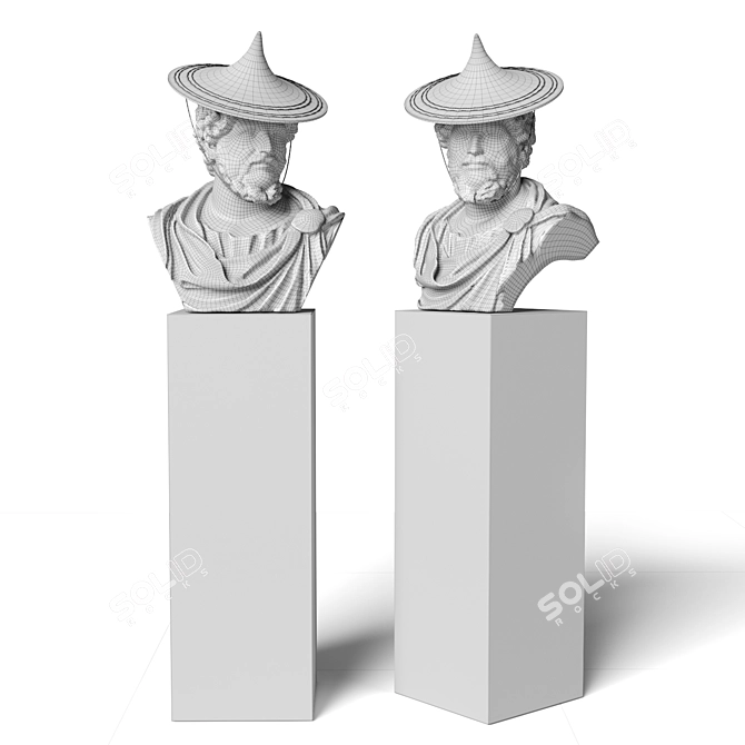 Roman Emperor Septimius Bust - Hat 3D model image 5