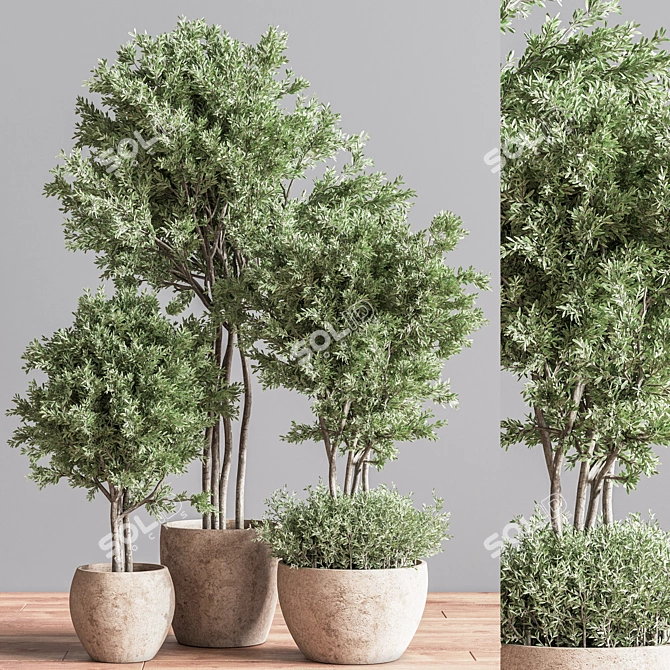 Indoor Greenery Deluxe Set 3D model image 2