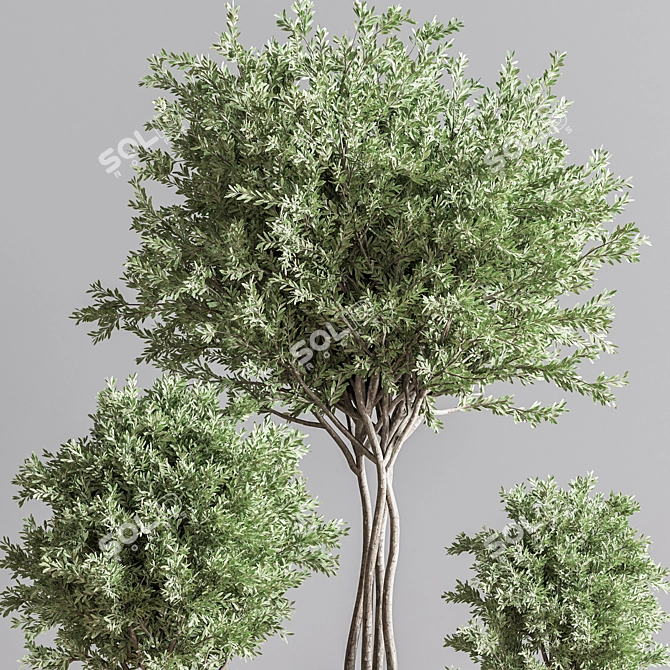 Indoor Greenery Deluxe Set 3D model image 5