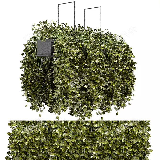 Elegant Metal Box With Hanging Plants 3D model image 1